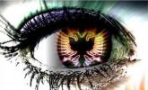 l'oeil kosovar