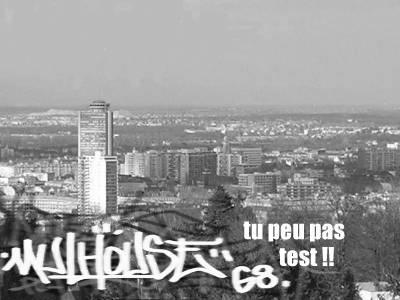 mulhouse tu peu po test